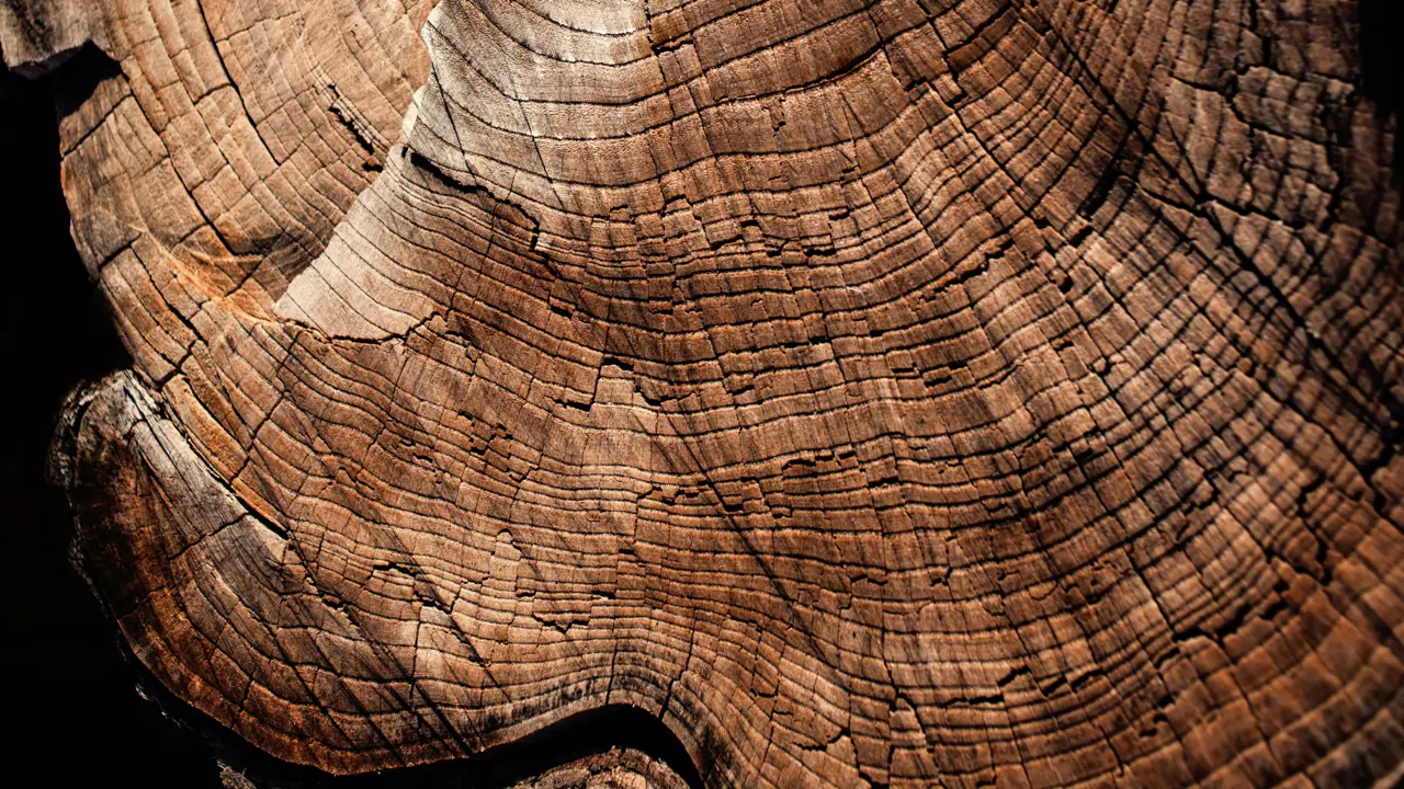 Decorational picture - Wood